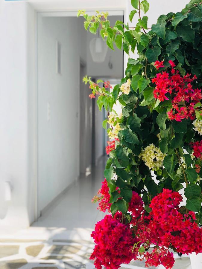 לינה וארוחת בוקר Naxos City Taki'S Guests מראה חיצוני תמונה